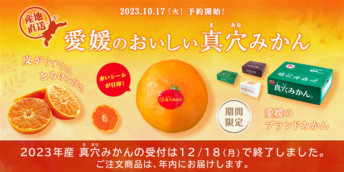 おいしい真穴みかん 愛媛から産地直送＜通販＞｜旬香物産