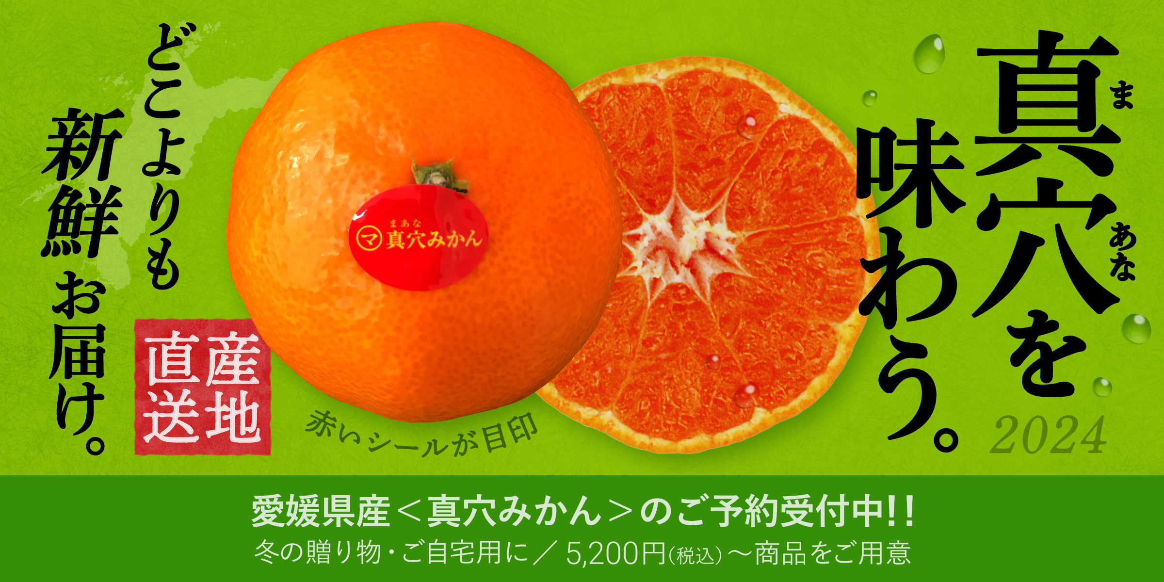 真穴（まあな）を味わう。2024　愛媛県産＜真穴みかん＞のご予約受付中！！