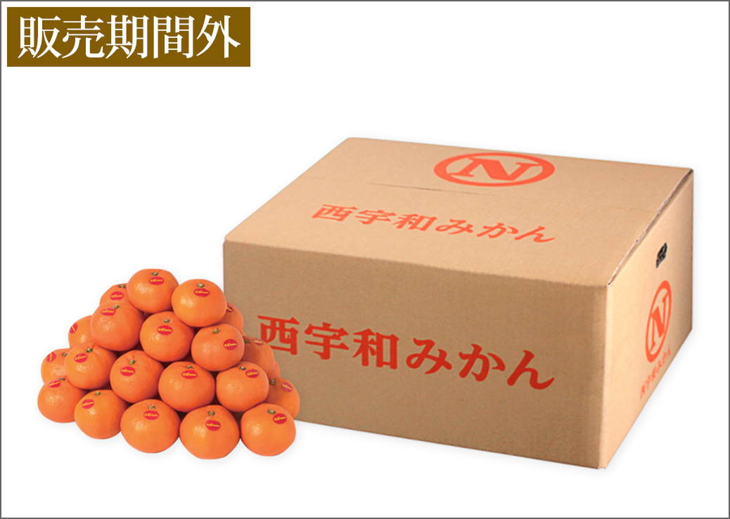 真穴みかん10kg＜LまたはMサイズ＞