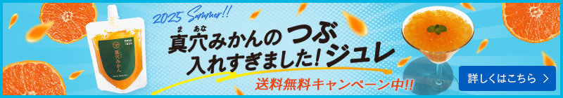 バナー：2025 Summer!! 真穴みかんのつぶ入れすぎました！ジュレ 送料無料キャンペーン中!!