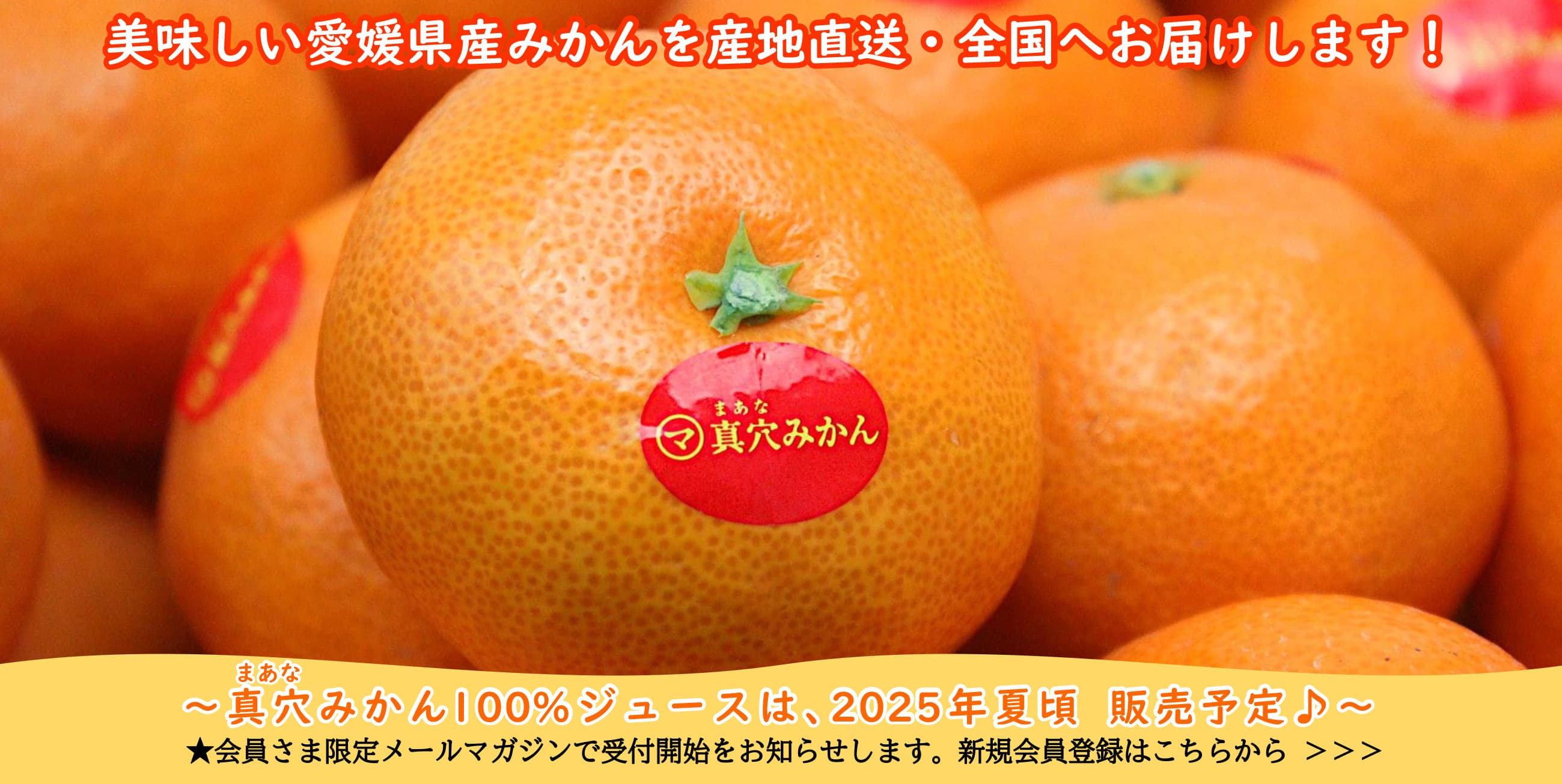 真穴（まあな）みかん100％ジュースは、2025年夏頃 販売予定♪