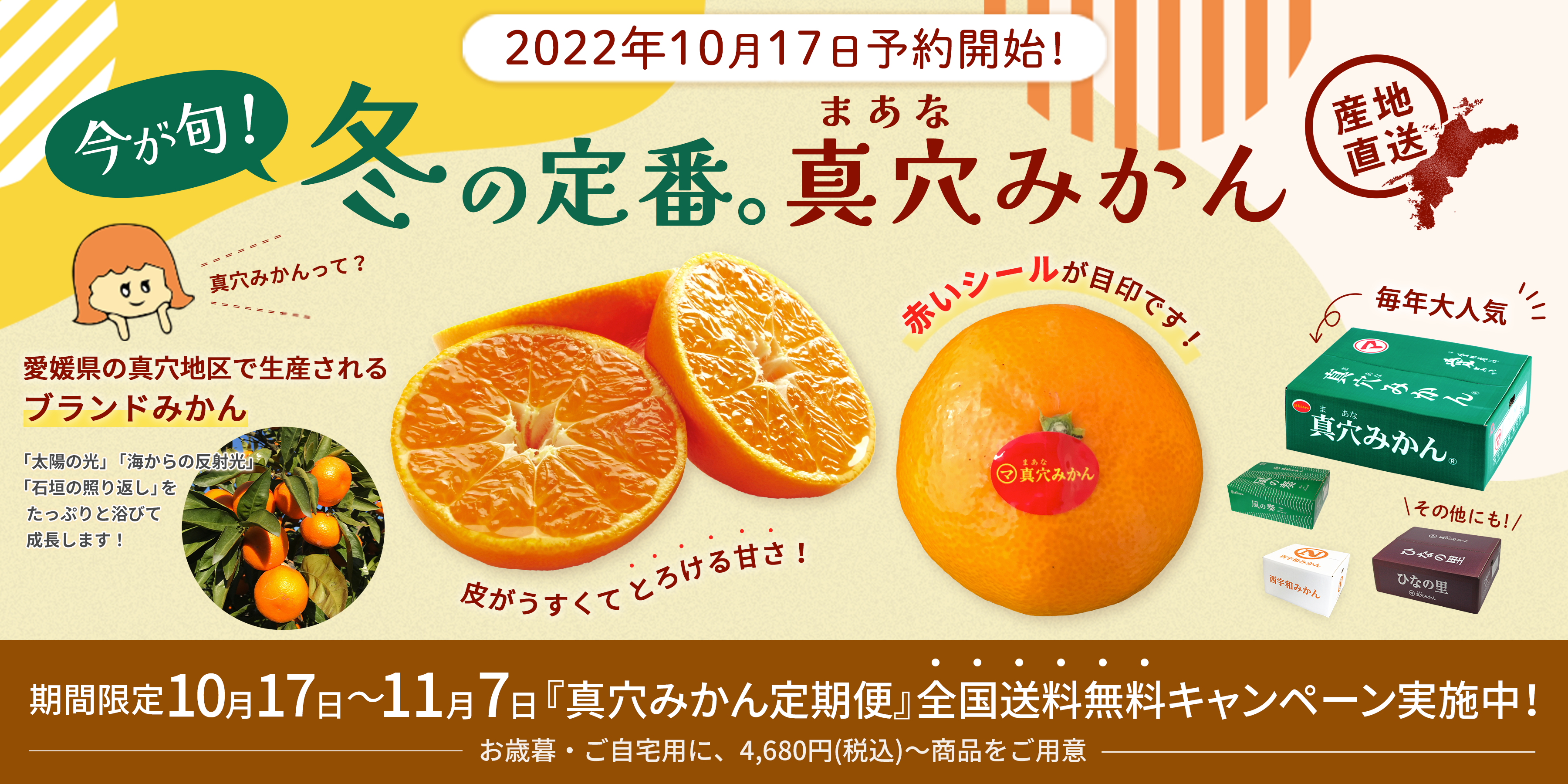 おいしい真穴みかん 愛媛から産地直送＜通販＞｜旬香物産