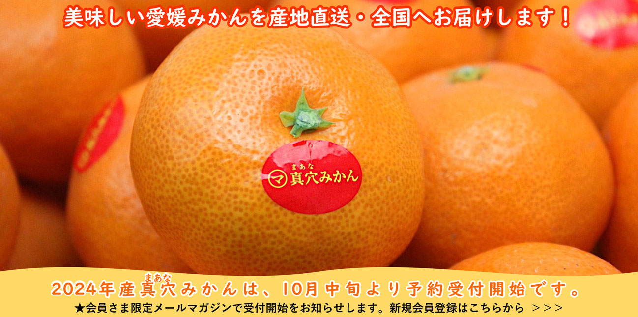 みかん確認用10月26日 | ijwi-islam.org