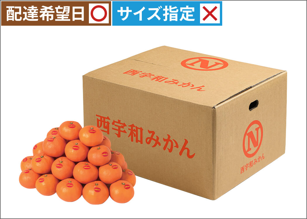 真穴みかん10kg<br>＜LまたはMサイズ＞