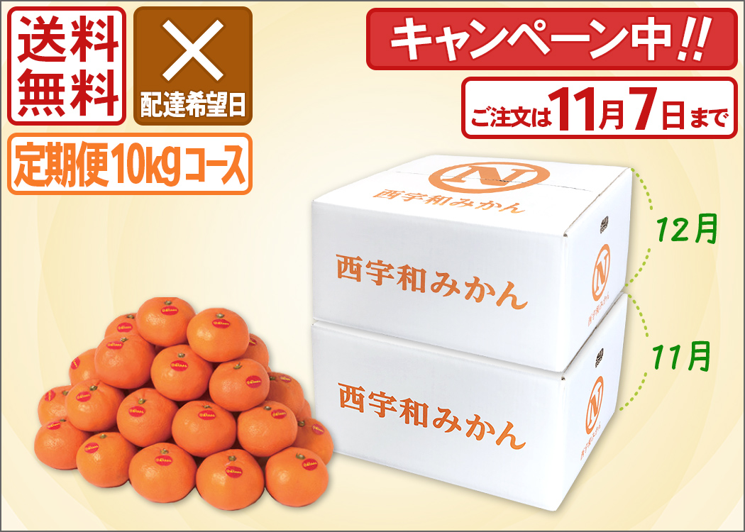 おいしい真穴みかん 愛媛から産地直送<通販>|旬香物産 おいしい真穴みかん 愛媛から産地直送<通販>|旬香物産
