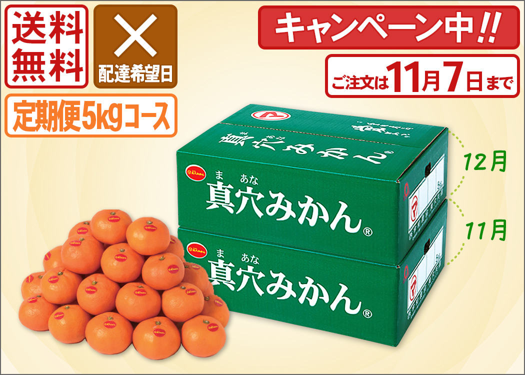 おいしい真穴みかん 愛媛から産地直送＜通販＞｜旬香物産