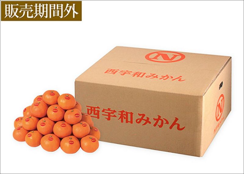 高級ブランド真穴みかん10キロ2Ｌサイズ西宇和みかん送料込み業界最安値❗️ 真穴みかん10㎏｜おいしい愛媛のみかん 産地直送＜通販＞｜旬香