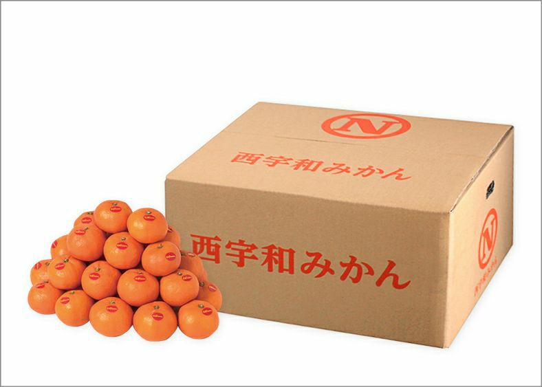 万屋出品 20220126124153_313_.jpg