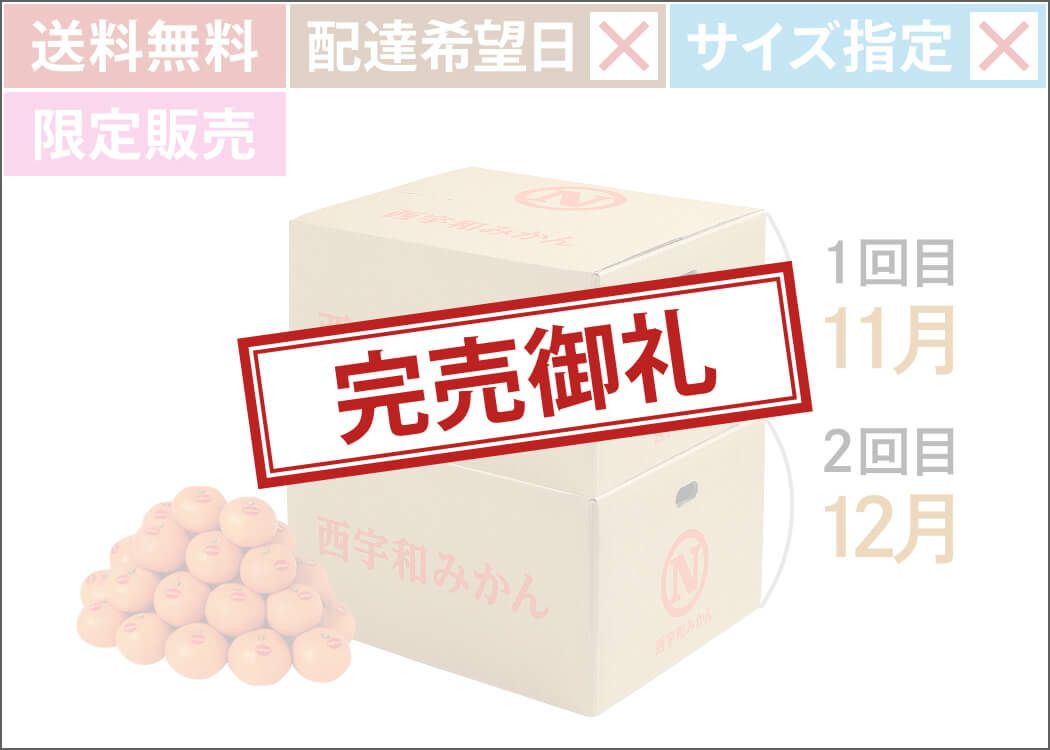 全国送料無料 真穴みかん 定期便｜おいしい愛媛のみかん 産地直送
