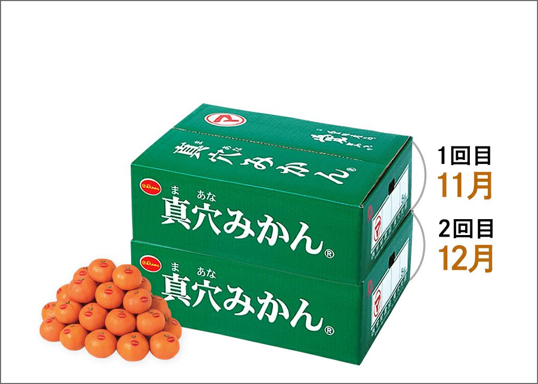 全国送料無料 真穴みかん 定期便｜おいしい愛媛のみかん 産地直送 