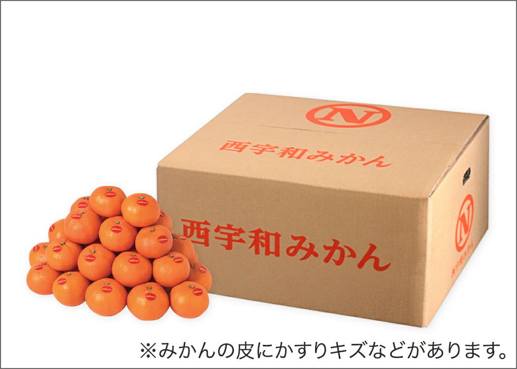 hau1227出品になります。 hau1227出品になります。 しろ品 2025年最新】zx 外装 白の人気アイテム -