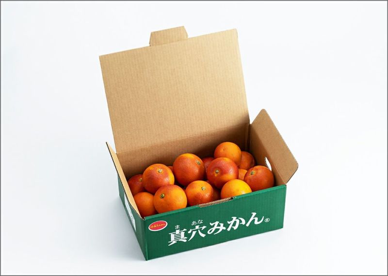 タロ シロナの覇気 ベルのまごころ ミカンのまなざし SAR 4枚セット シロナの覇気sar エリカの招待sr カシオペアsr 他ポケカ まとめ
