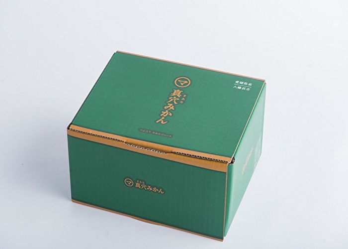 ②choco.and.love様　真穴産みかんジュース　12本　720ml 真穴産みかんジュース「SUNSUN」3本セット【E18-11】 | 愛媛県